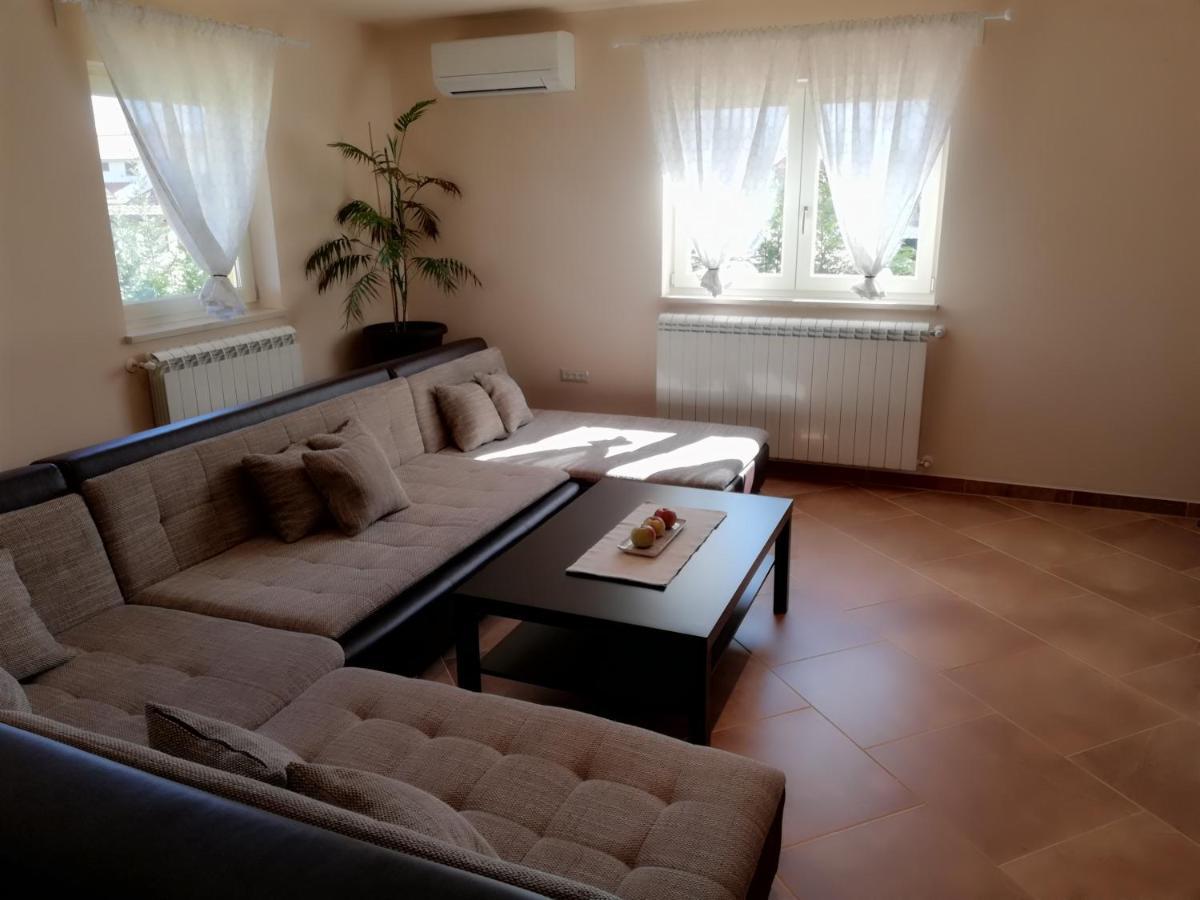 Apartman Nikola Daire Ladrovici Dış mekan fotoğraf